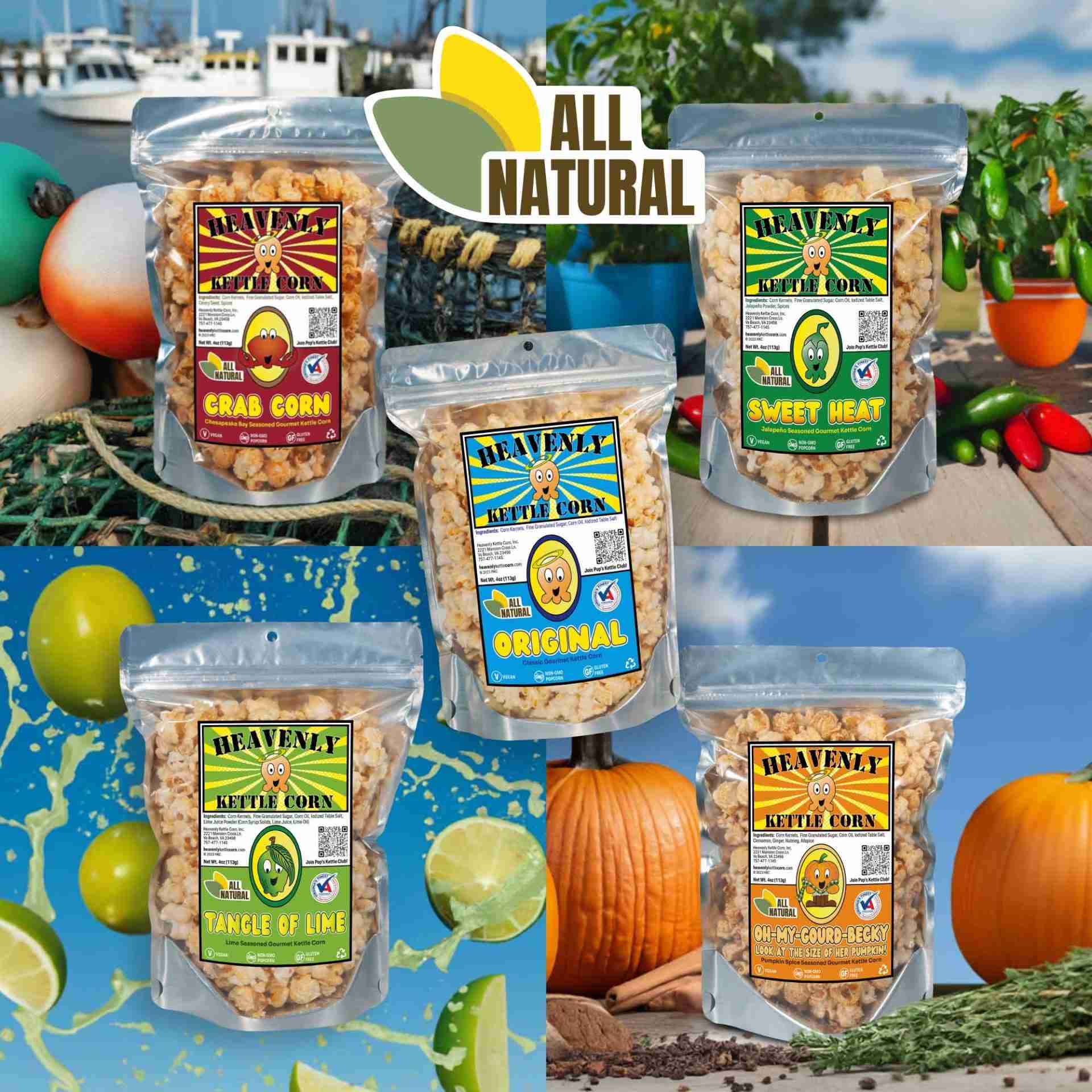 Heavenly Kettle Corn's Gourmet All Natural Kettle Corn Fun Size Bags